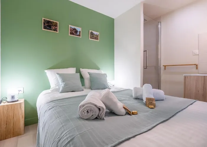 Les Hortillonnages_b&b Inn_centre Ville_terrasse_wifi_netflix *